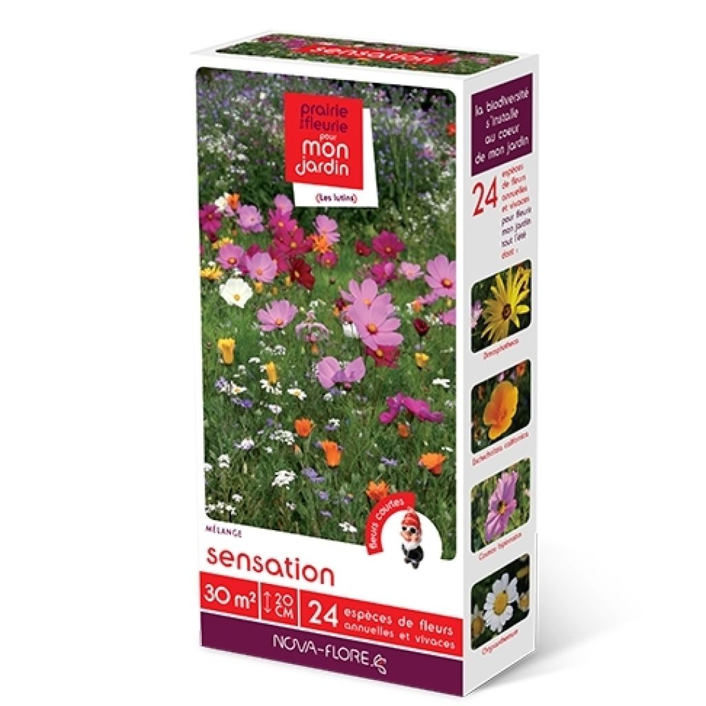Siemenseos Menninkäiset Sensaatio