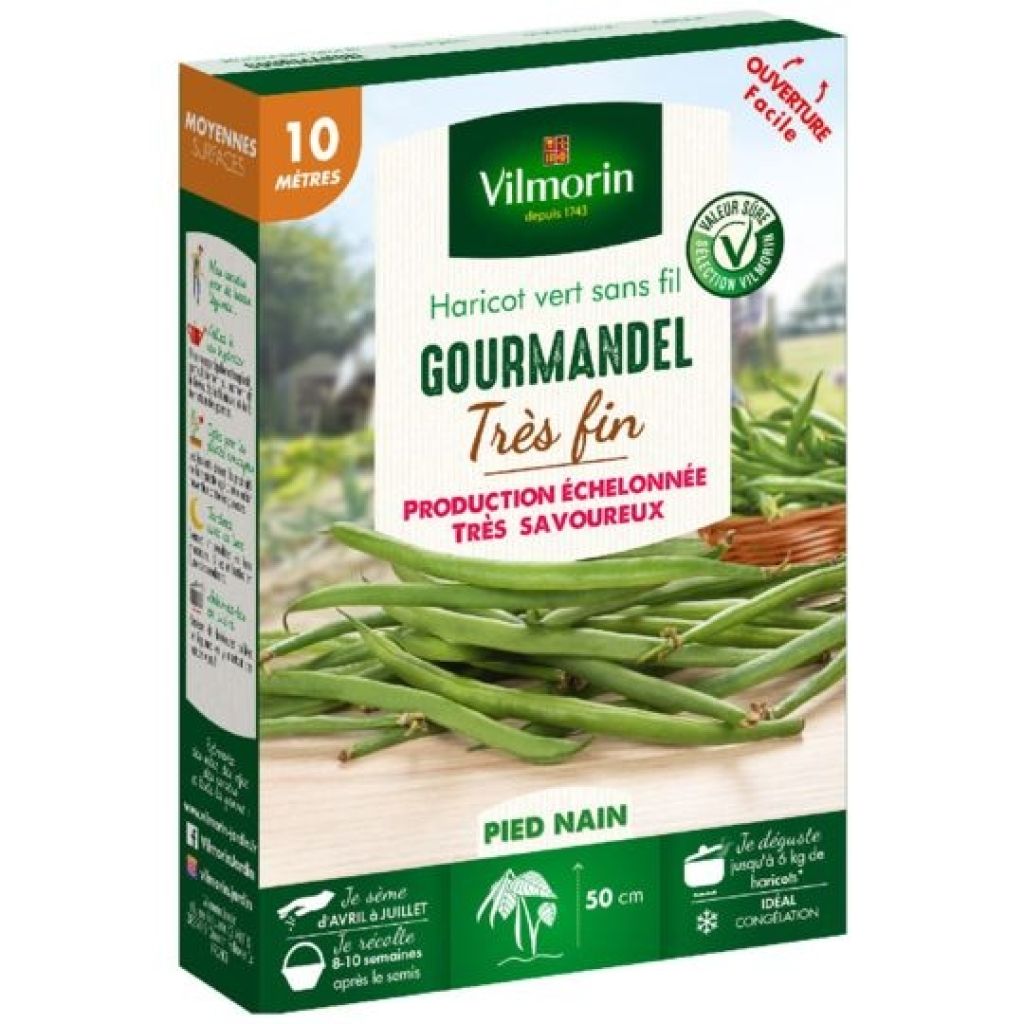 Palkoineen syötävä tarhapapu Gourmandel - Vilmorin