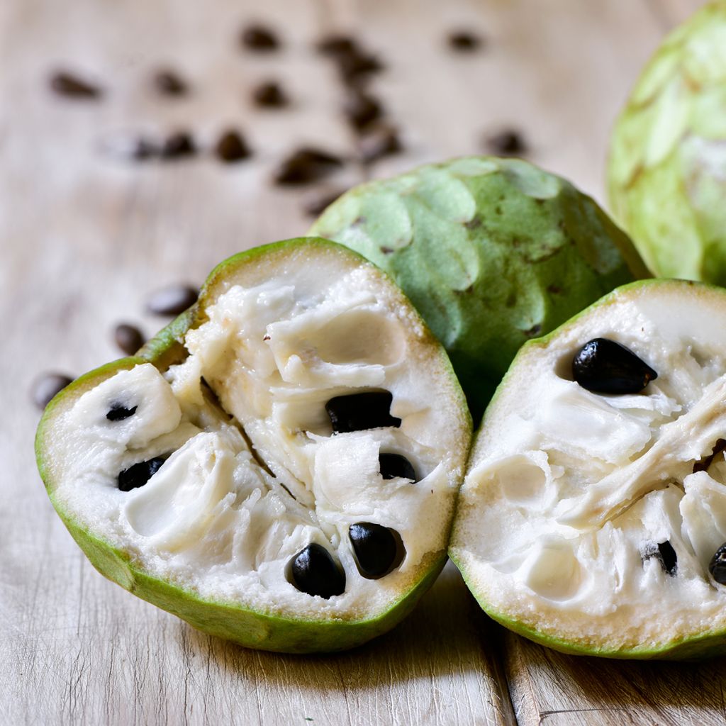Suomuannoona - Annona cherimola