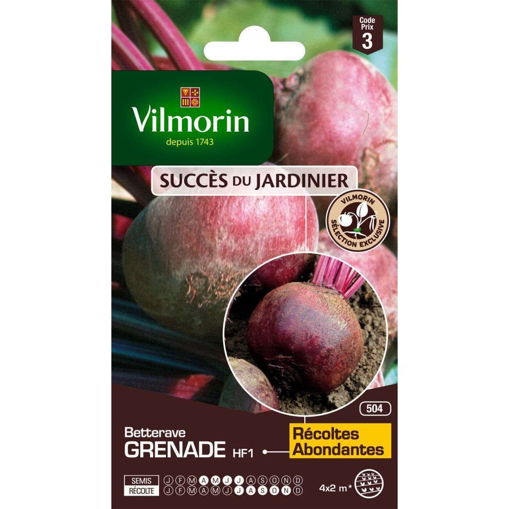 Punajuurikas Grenade F1 - Vilmorin