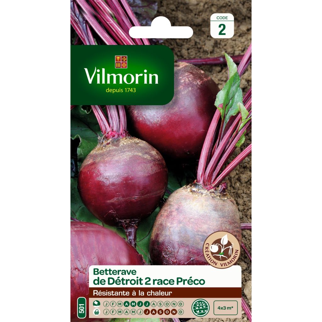 Punajuurikas Detroit 2 Préco - Vilmorin