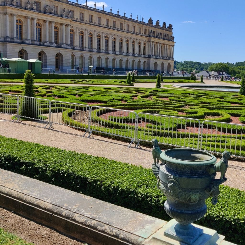 Isopuksipuu Betterbuxus Heritage