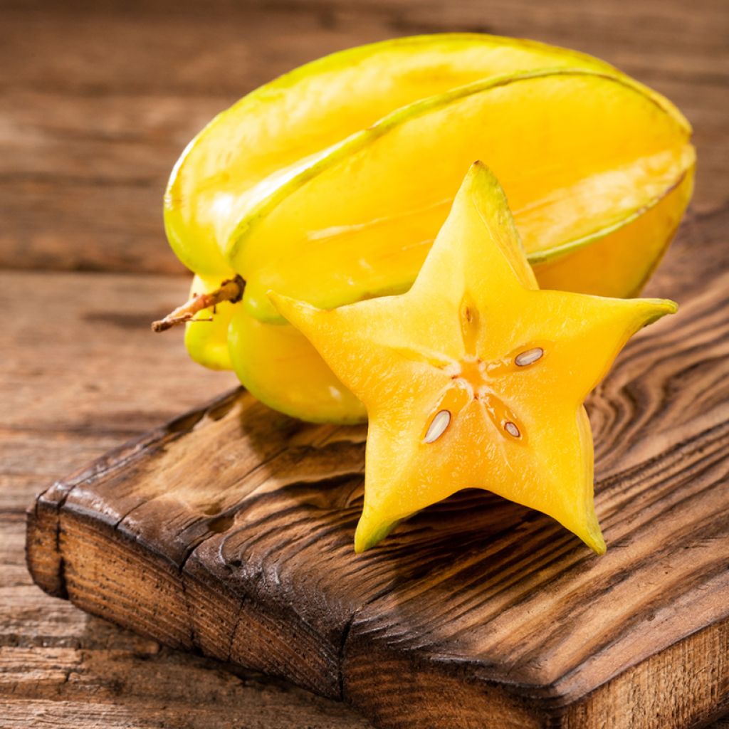 Karambola Arkin