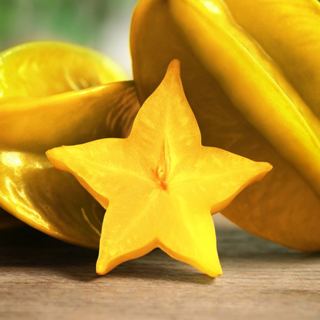Karambola Arkin