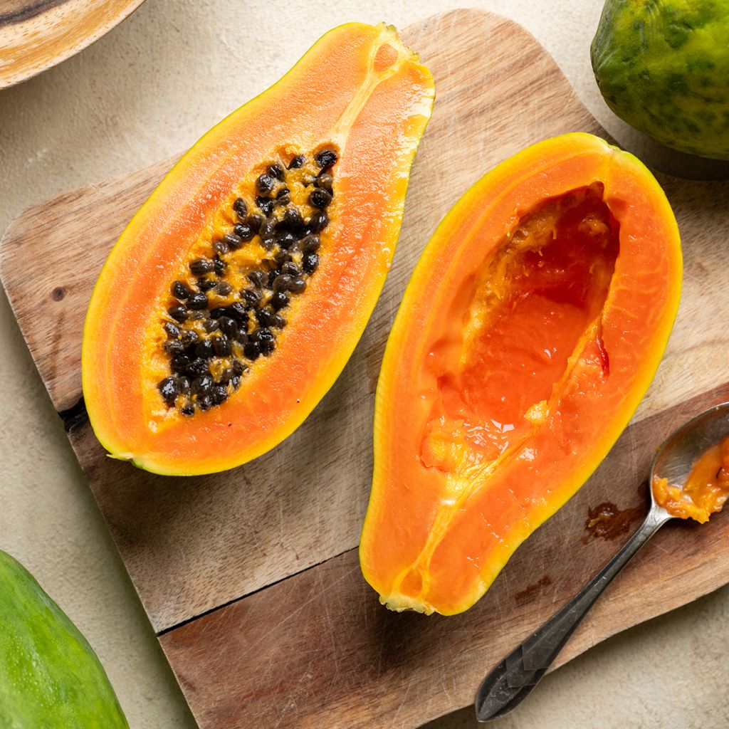 Tarhapapaija - Carica papaya