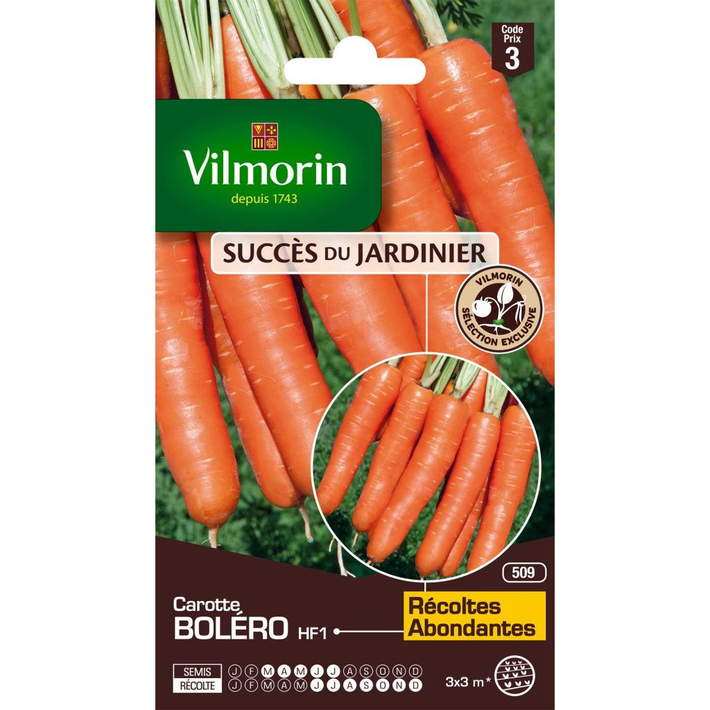 Porkkana Bolero F1 - Vilmorin