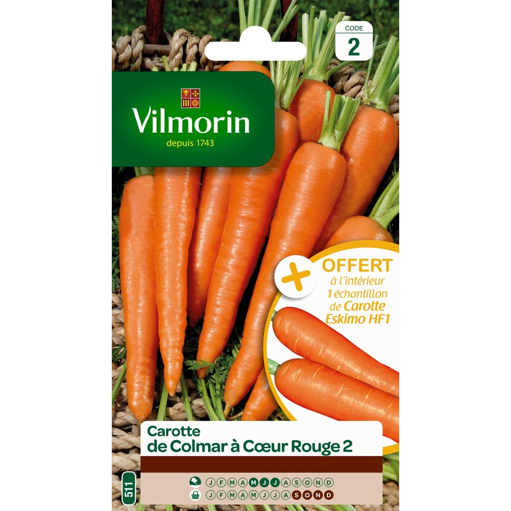 Porkkana Colmar Red Cored 2 - Vilmorin