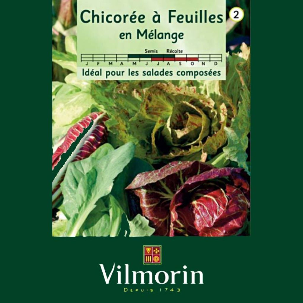 Sikuri Mix - Vilmorin