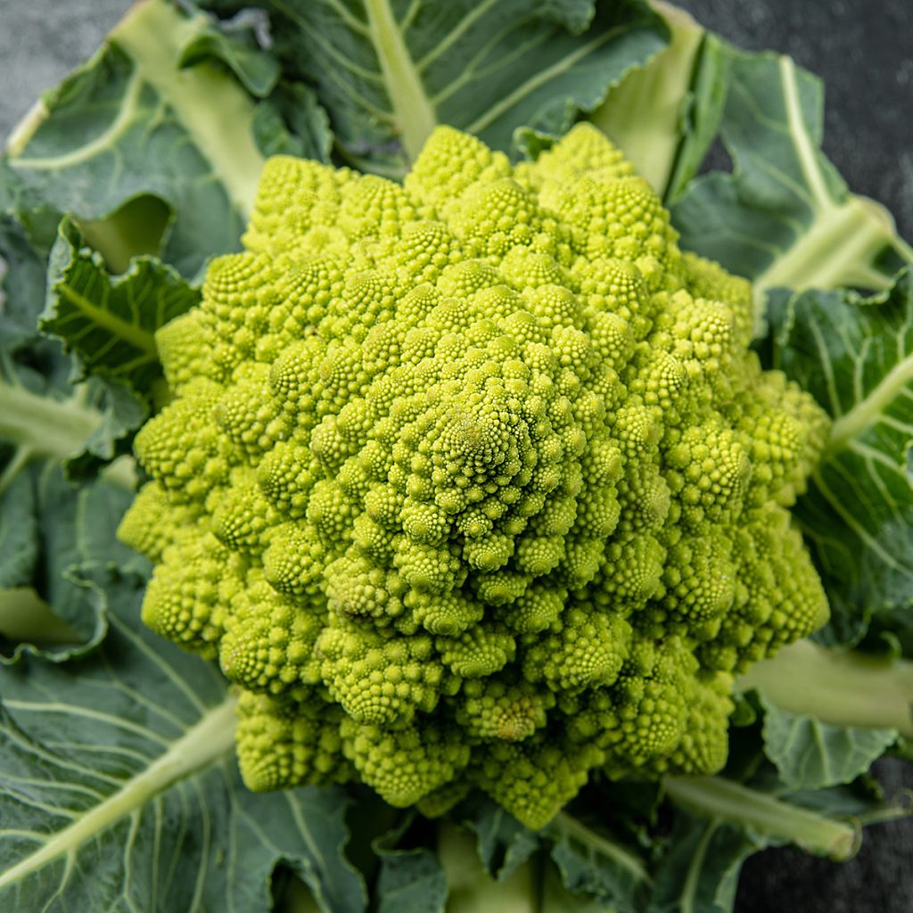Kukkakaali Romanesco luomu - Ferme de Sainte Marthe