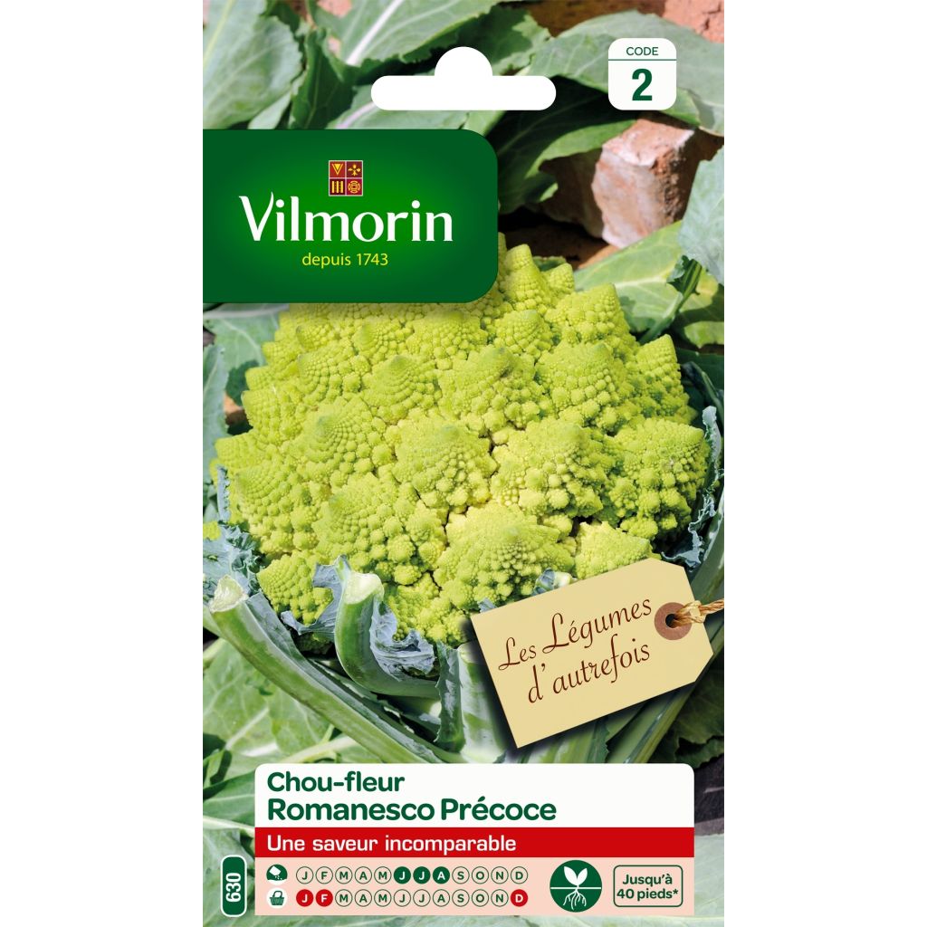 Kukkakaali Romanesco - Vilmorin