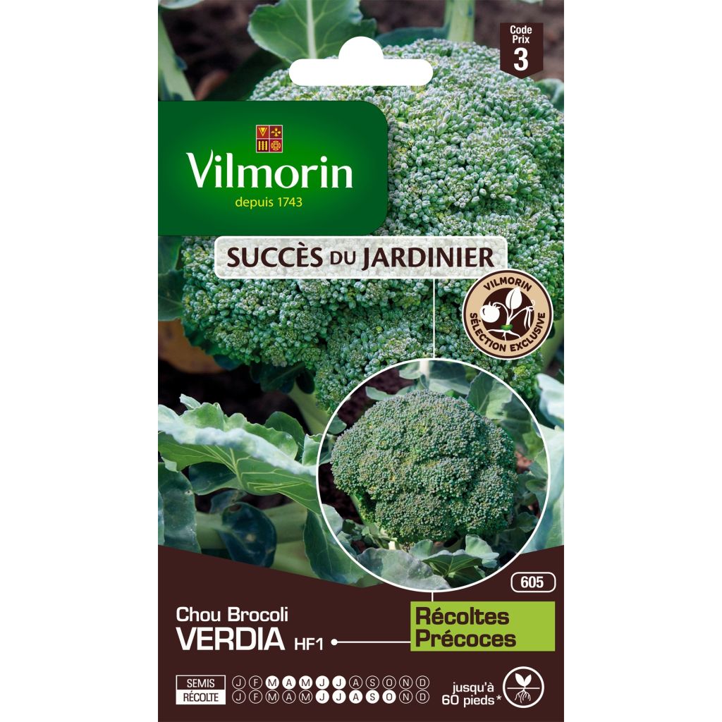 Parsakaali Verdia F1 - Vilmorin