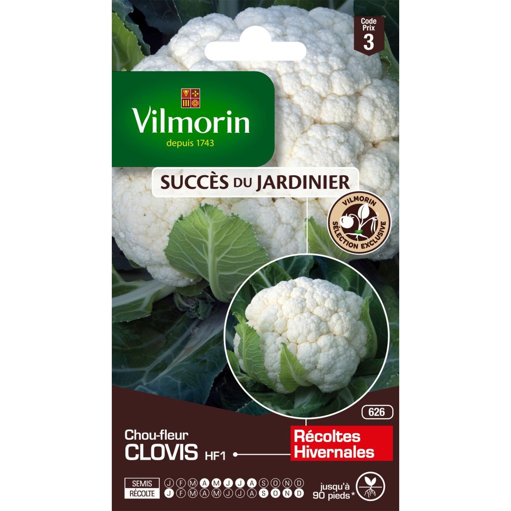 Kukkakaali Clovis F1 - Vilmorin
