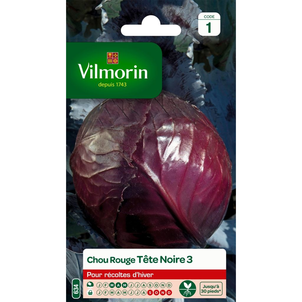 Punakaali mustapää 3 - Vilmorin