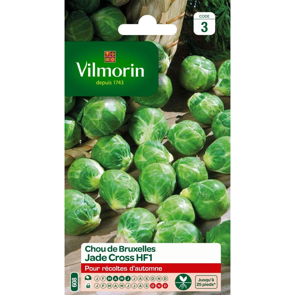 Ruusukaali Jade Cross F1 - Vilmorin