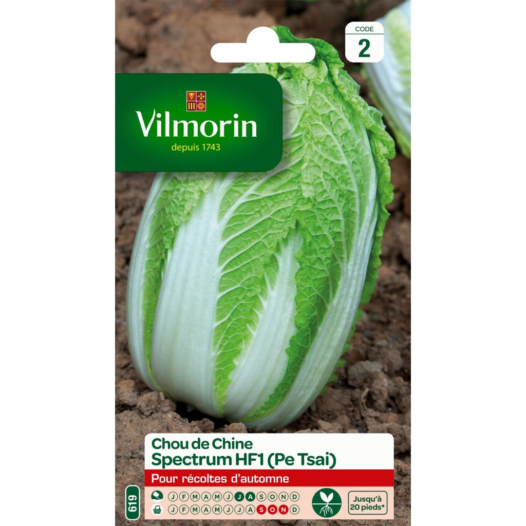 Kiinankaali pekinensis Spectrum F1 - Vilmorin