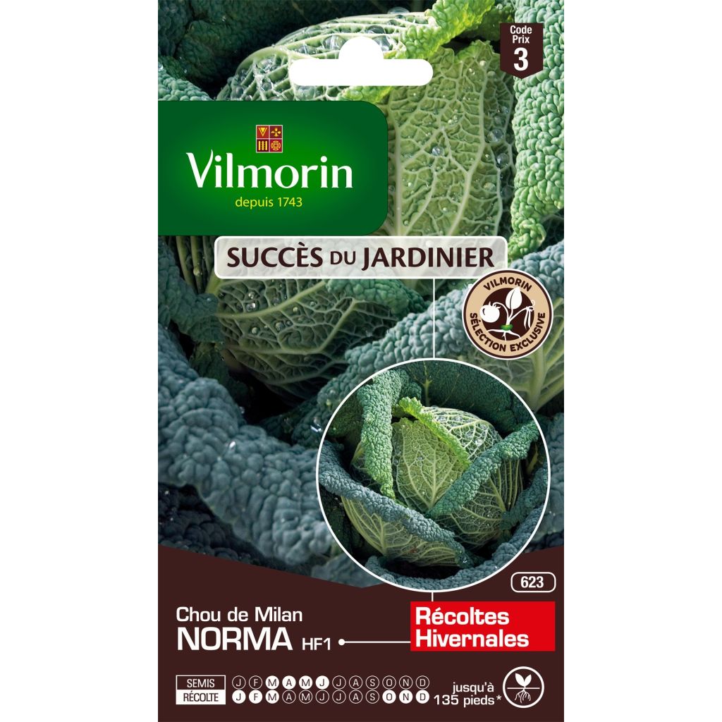 Savoijinkaali Norma F1 - Vilmorin