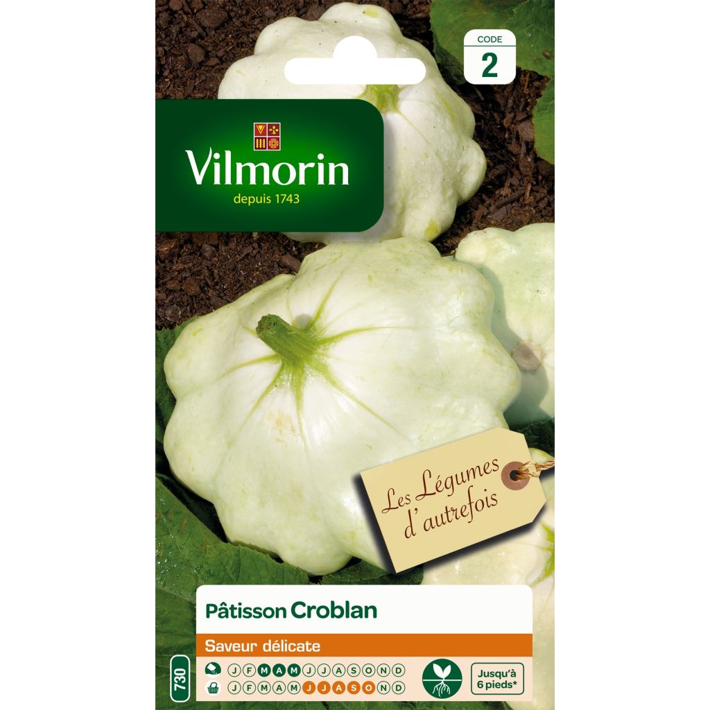 Kiekkokurpitsa Croblan - Vilmorin