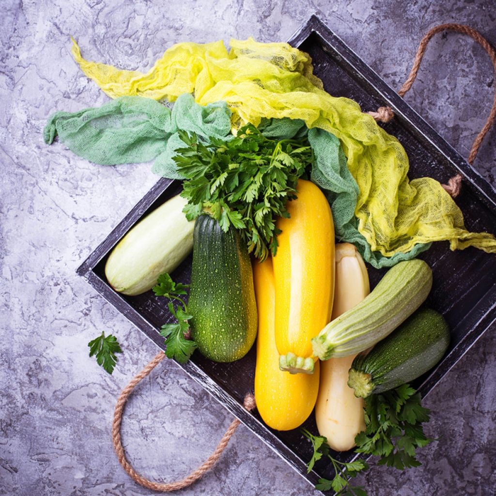 Kesäkurpitsa Ratatouille sekoitus