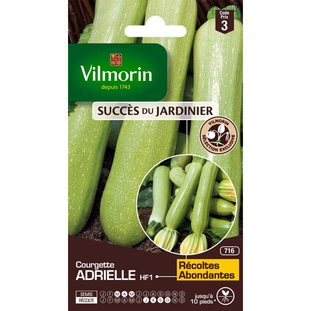 Kesäkurpitsa Adrielle F1 - Vilmorin