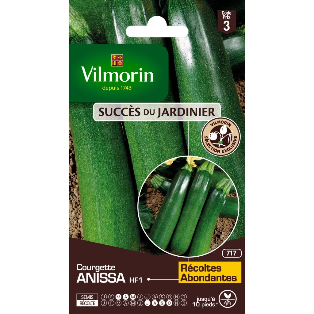 Kesäkurpitsa Anissa F1 - Vilmorin