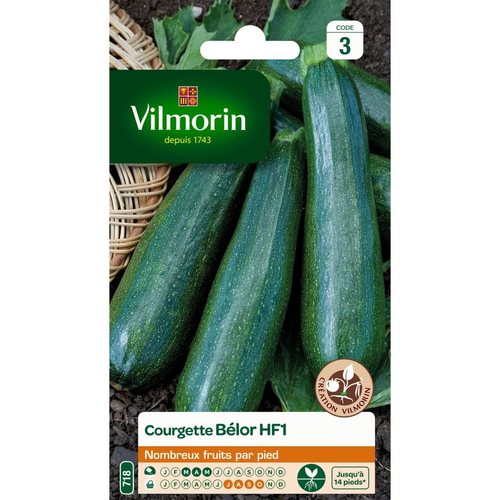 Kesäkurpitsa Belor F1 - Vilmorin