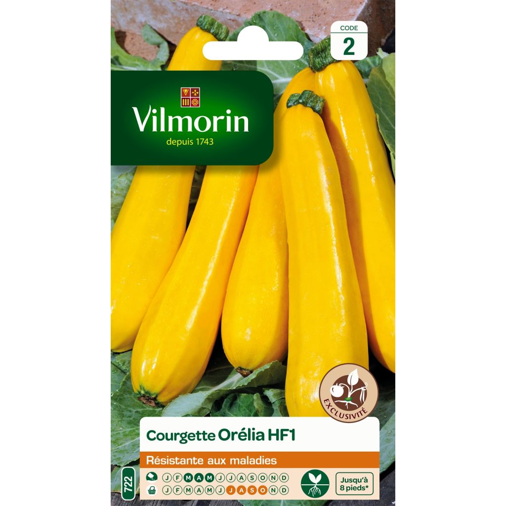 Kesäkurpitsa Orelia F1 - Vilmorin