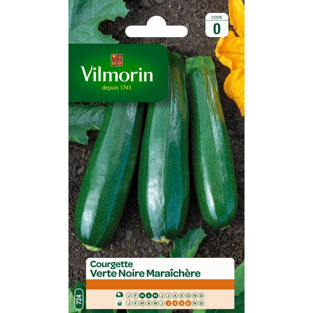 Kesäkurpitsa tummanvihreä - Vilmorin