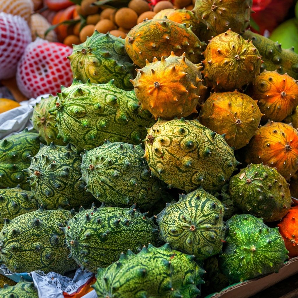 Kivakurkku - Cucumis metuliferus