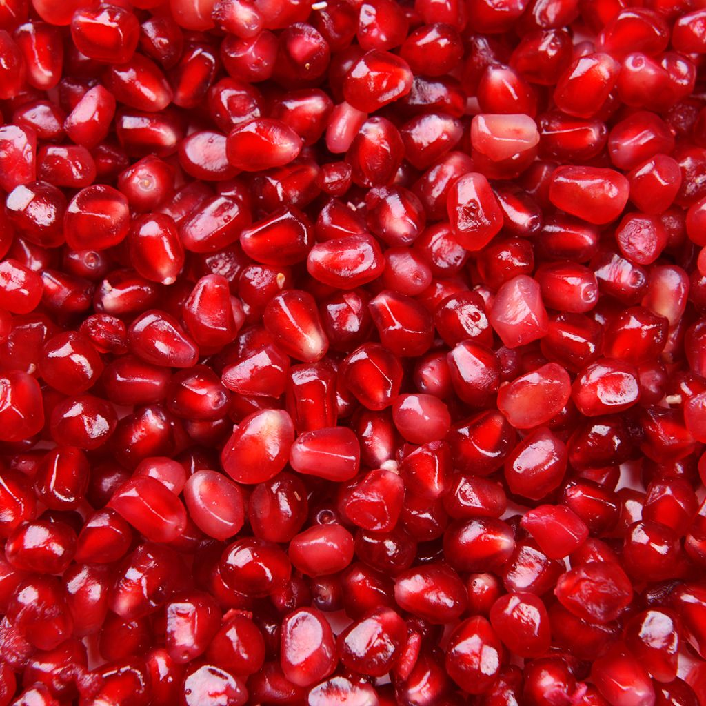Granaattiomena (siemenet) - Punica granatum