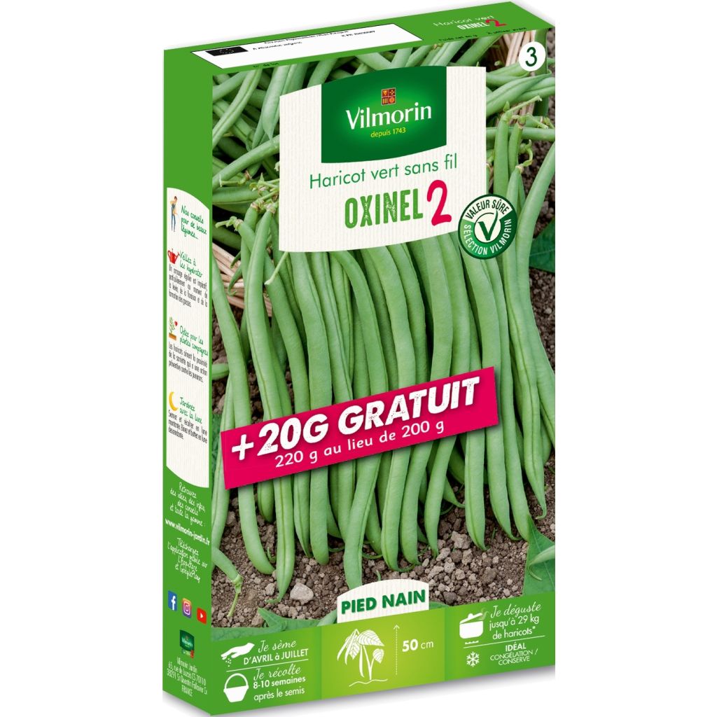 Tarhapapu Oxinel 2 - Vilmorin