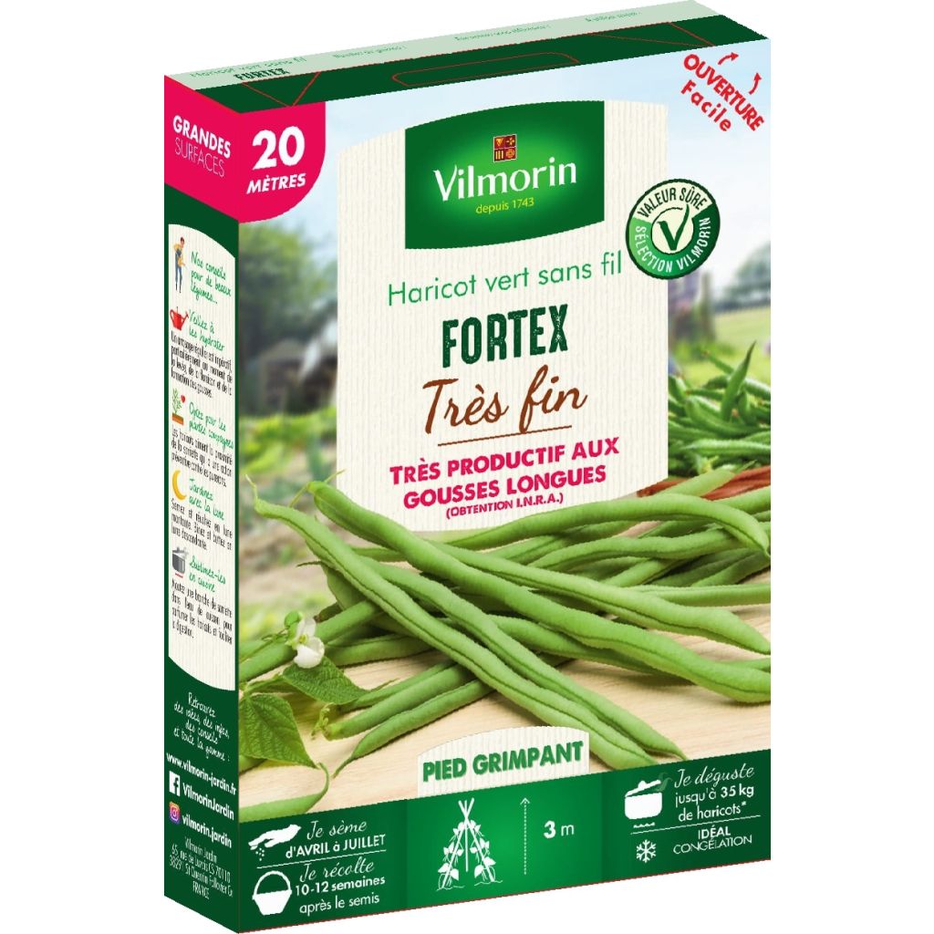 Salkopapu Fortex - Vilmorin