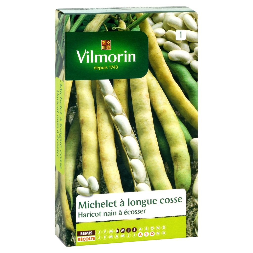 Tarhapapu Michelet pitkäpalkoinen - Vilmorin