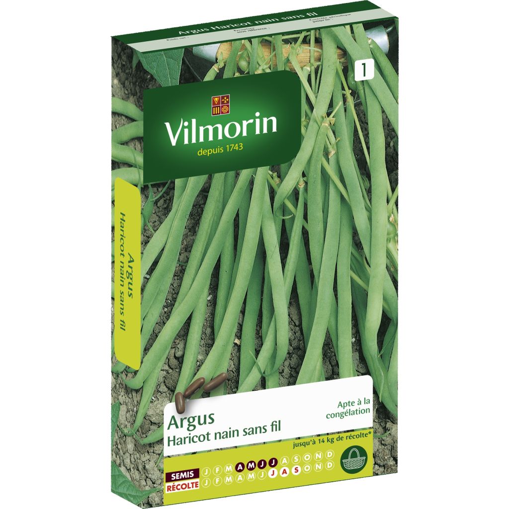 Palkoineen syötävä tarhapapu Argus - Vilmorin