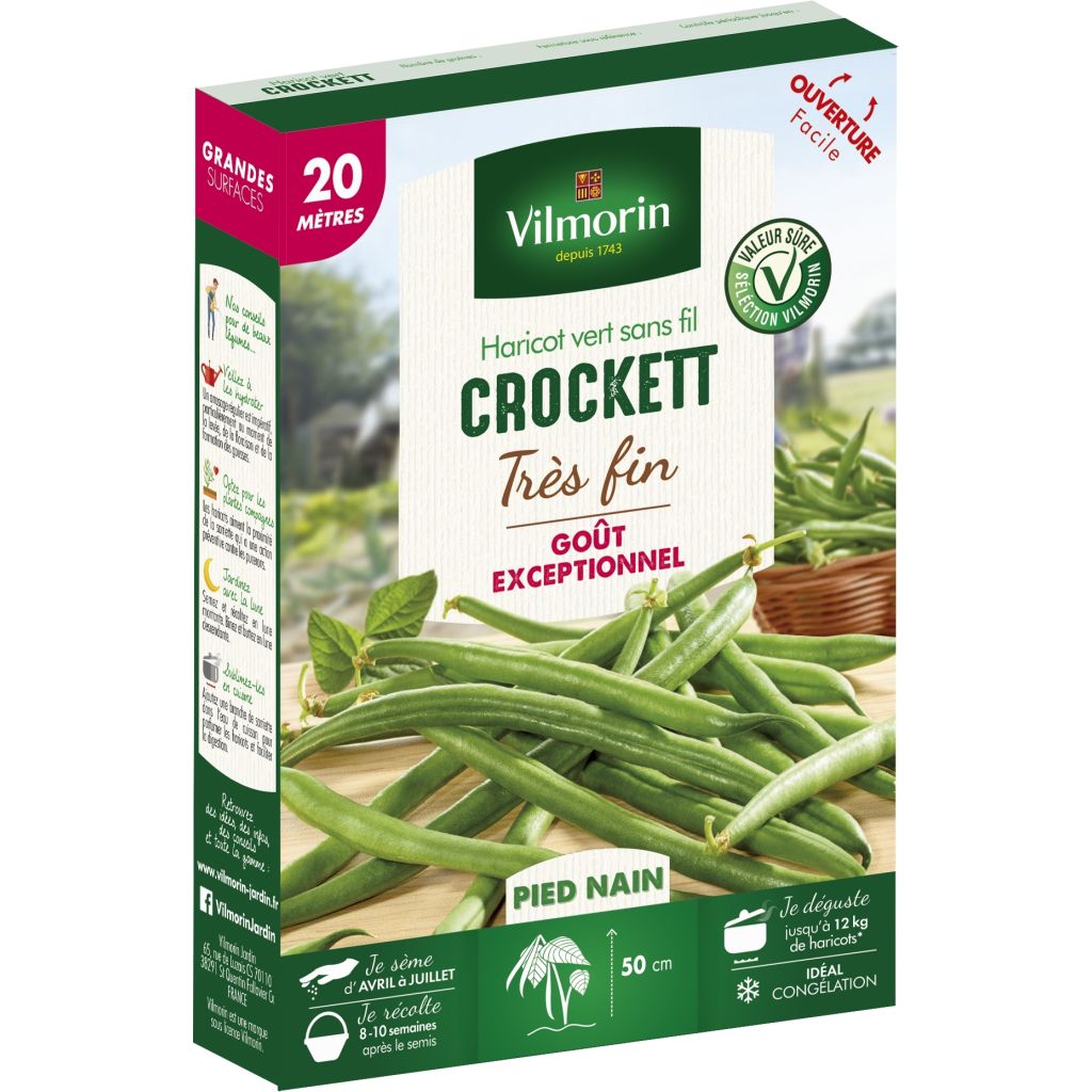 Pensaspapu Crockett - Vilmorin