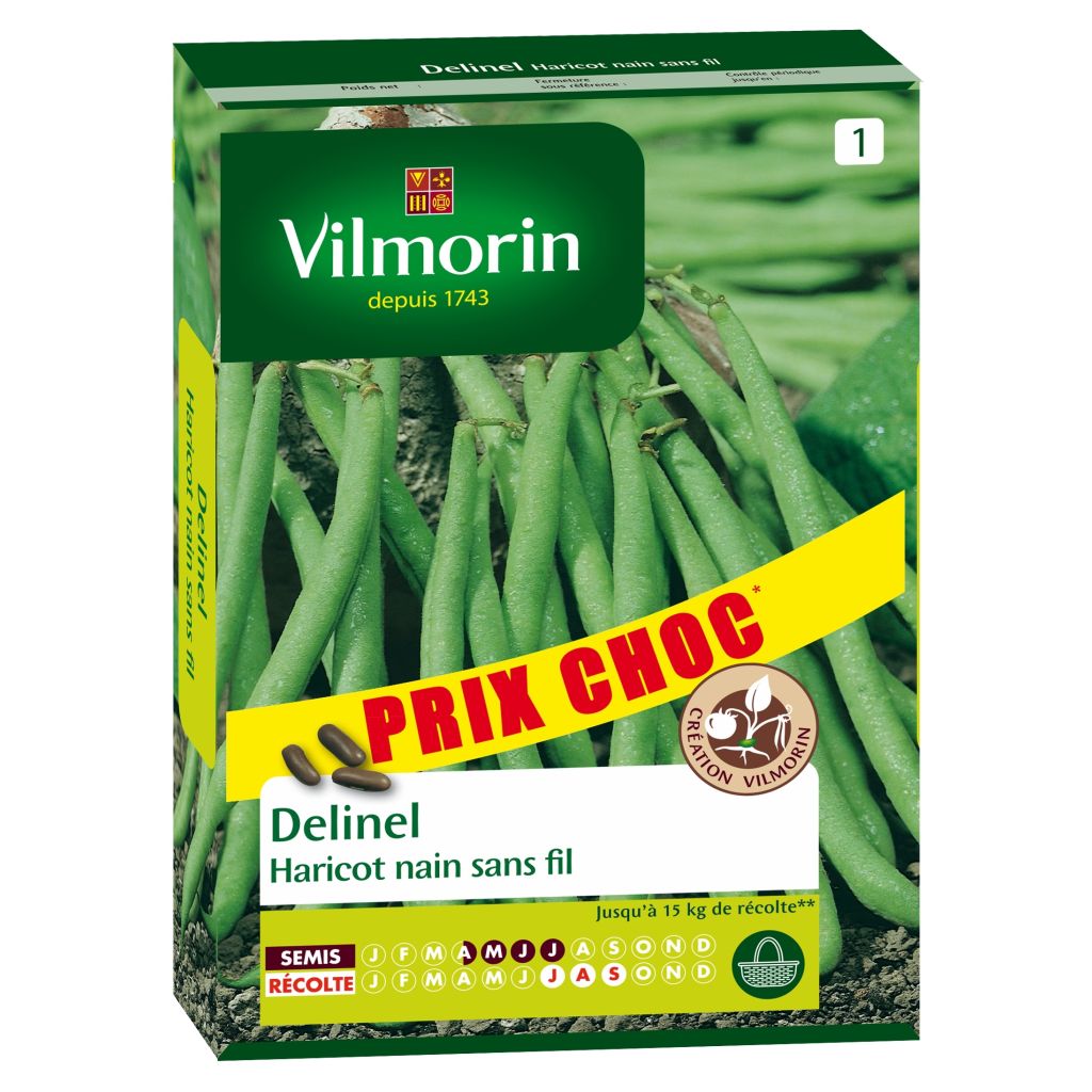 Palkoineen syötävä tarhapapu Delinel - Vilmorin