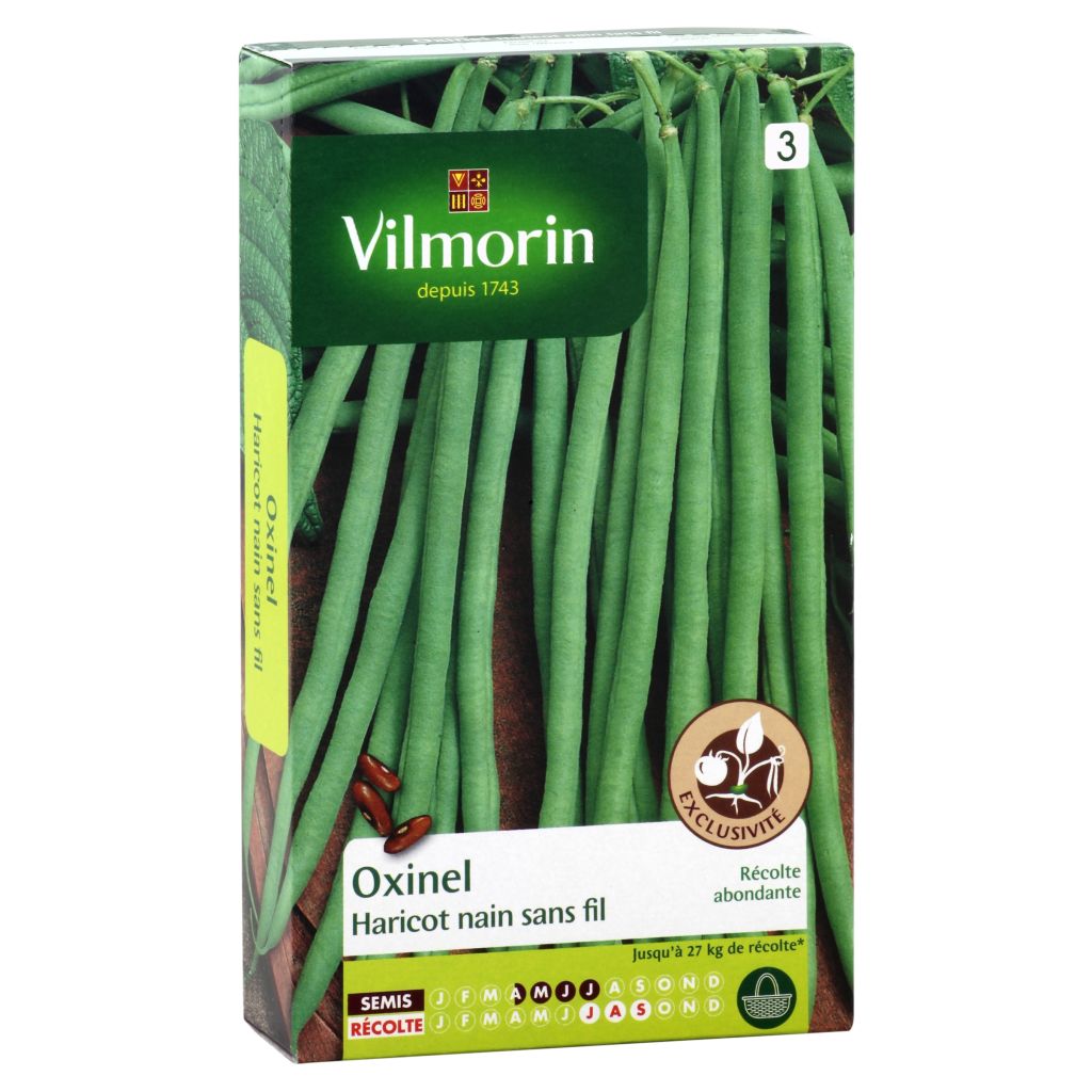Palkoineen syötävä tarhapapu Oxinel - Vilmorin