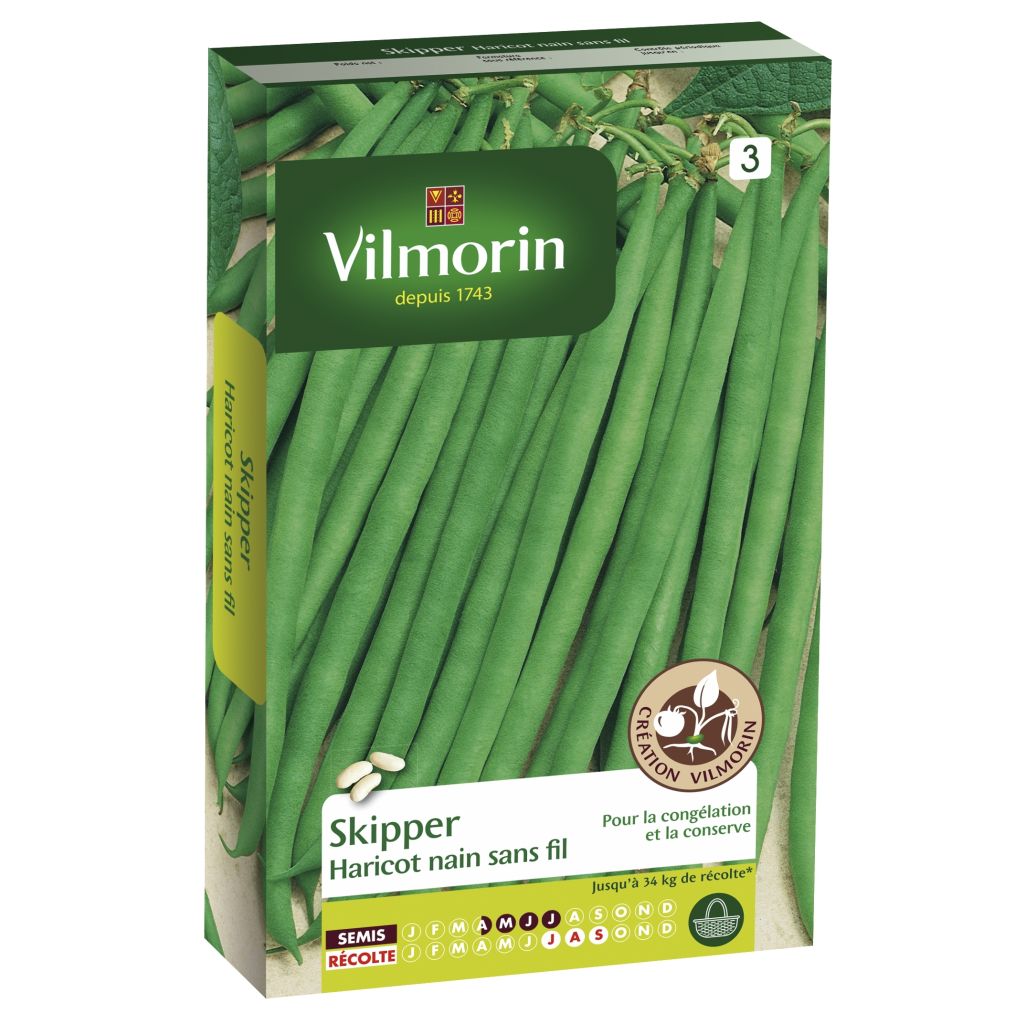 Palkoineen syötävä tarhapapu Skipper - Vilmorin
