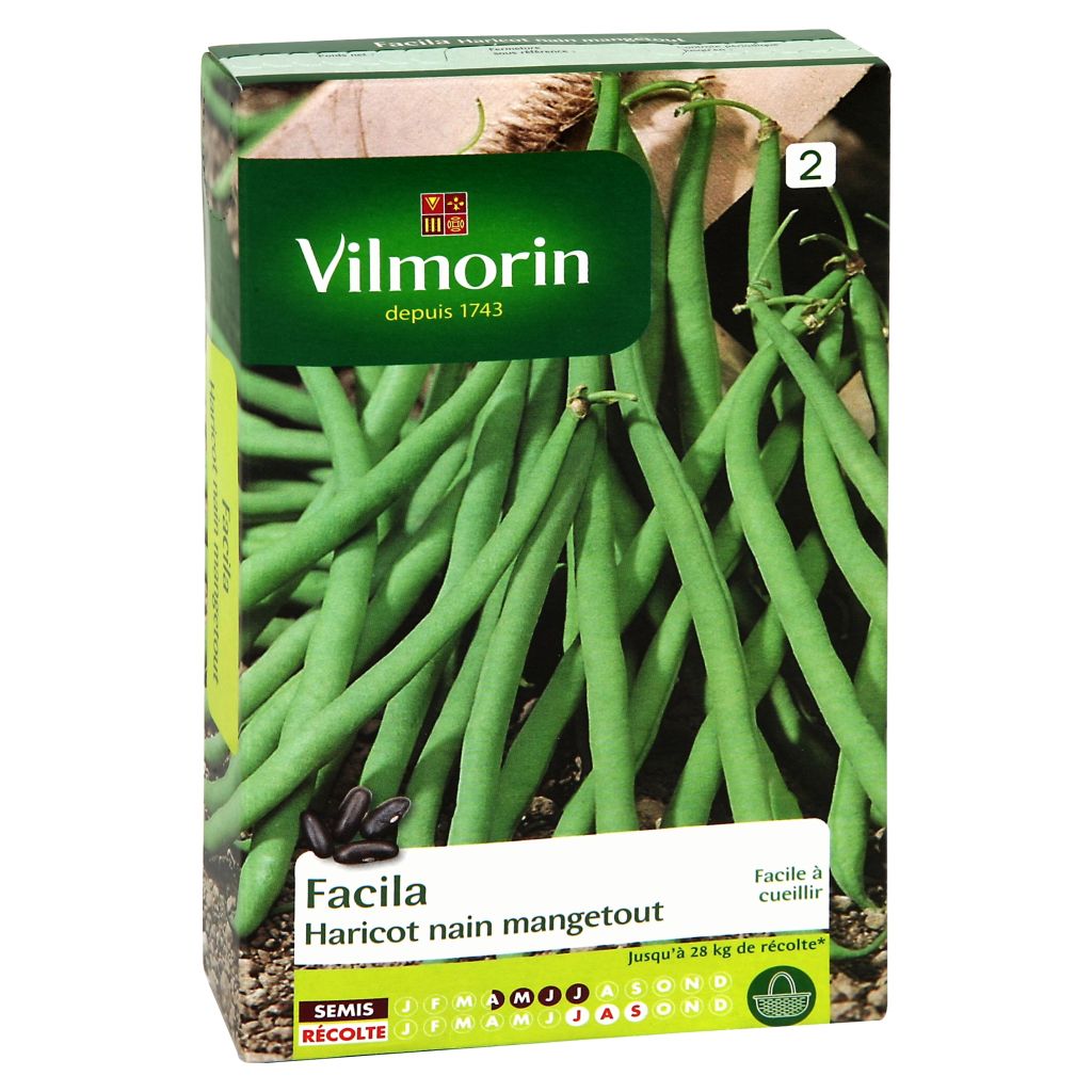 Palkoineen syötävä tarhapapu Facila - Vilmorin