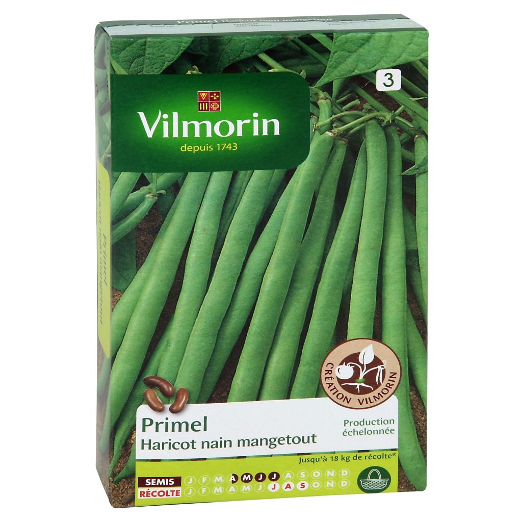 Taitepapu Primel - Vilmorin