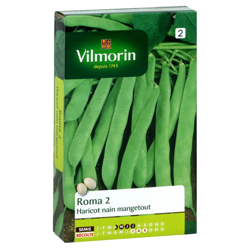 Palkoineen syötävä tarhapapu Roma 2 - Vilmorin