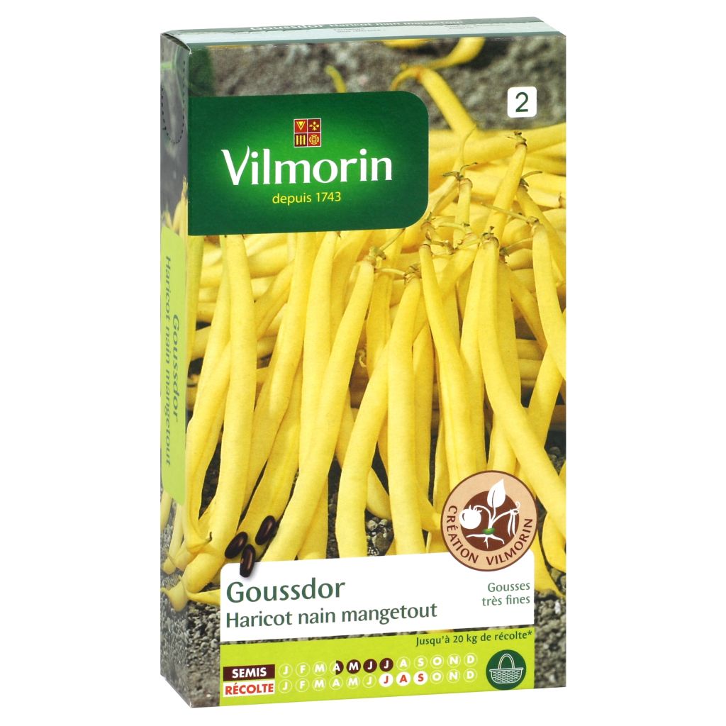 Palkoineen syötävä tarhapapu Goussdor - Vilmorin