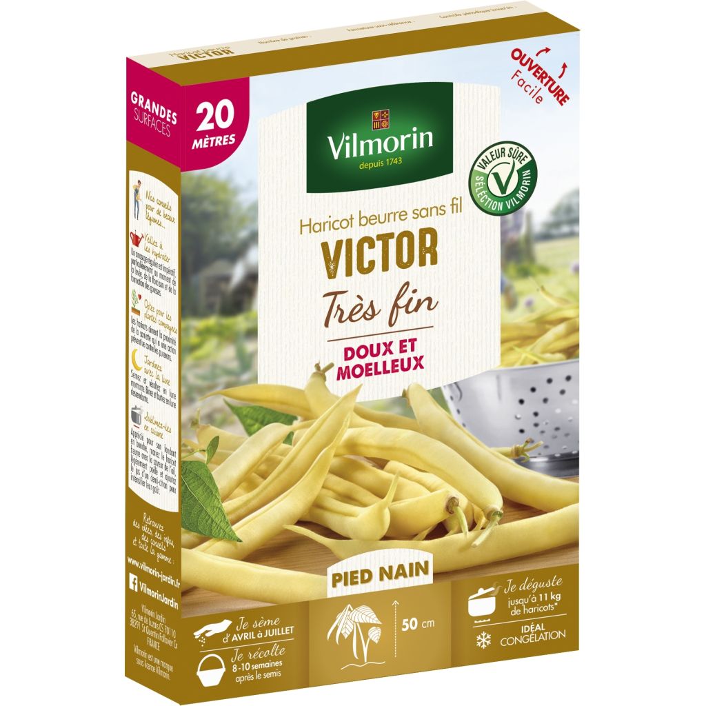 Pensaspapu Victor - Vilmorin