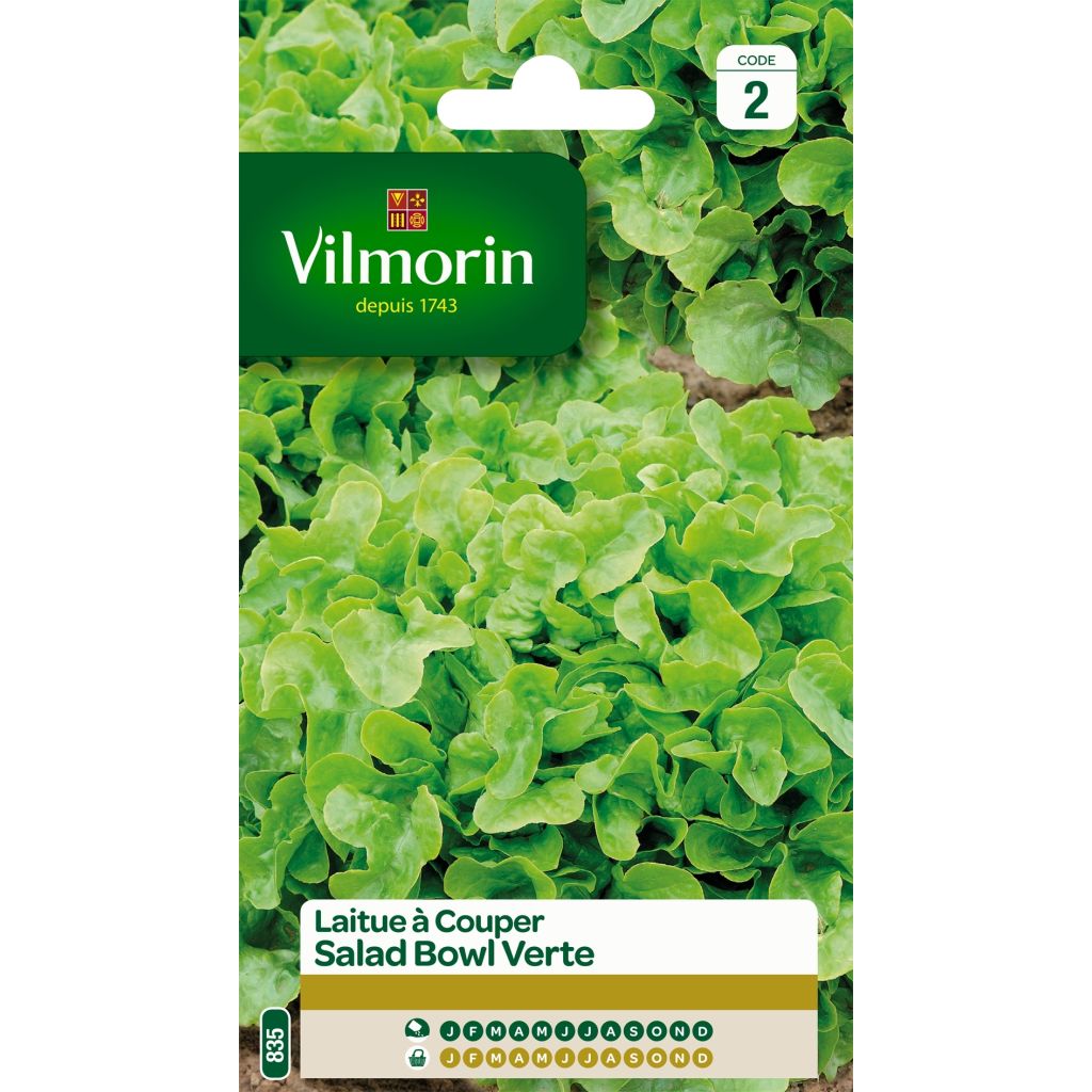 Tammenlehtisalaatti Green Salad Bowl - Vilmorin