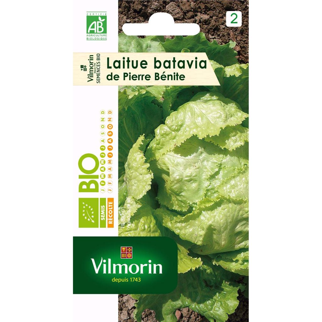 Bataviasalaatti de Pierre Bénite luomu - Vilmorin