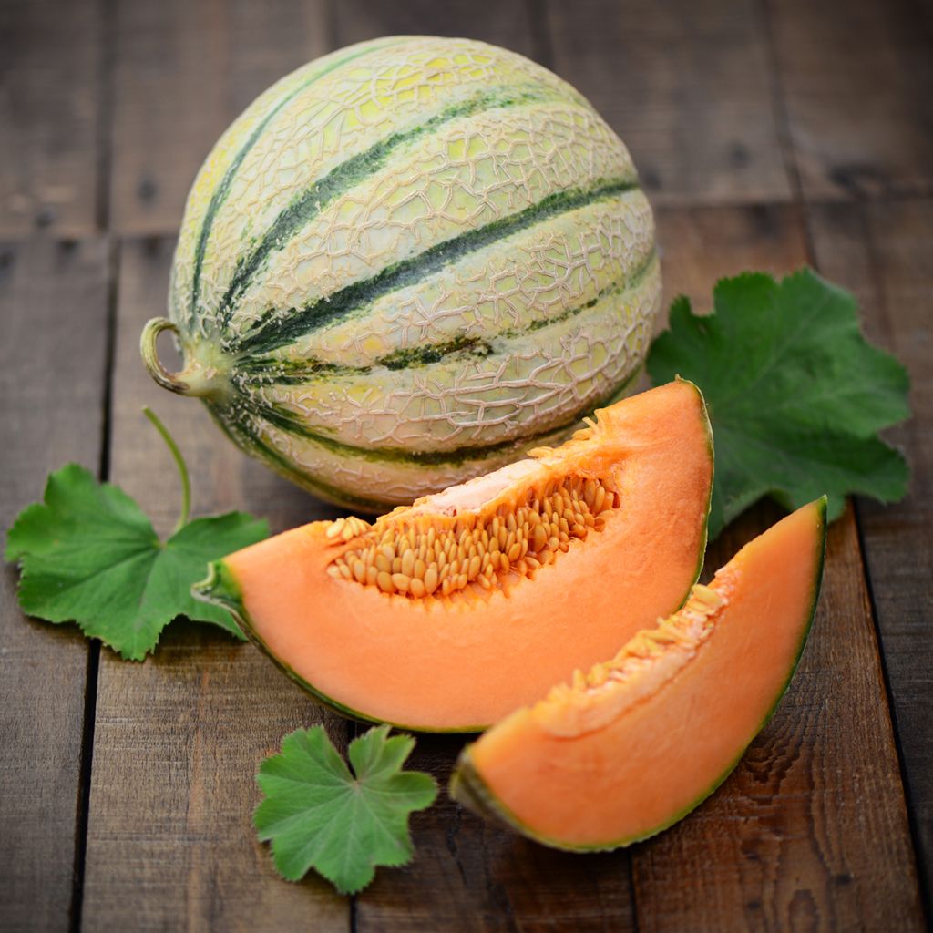 Cantaluponmeloni Charentais luomu