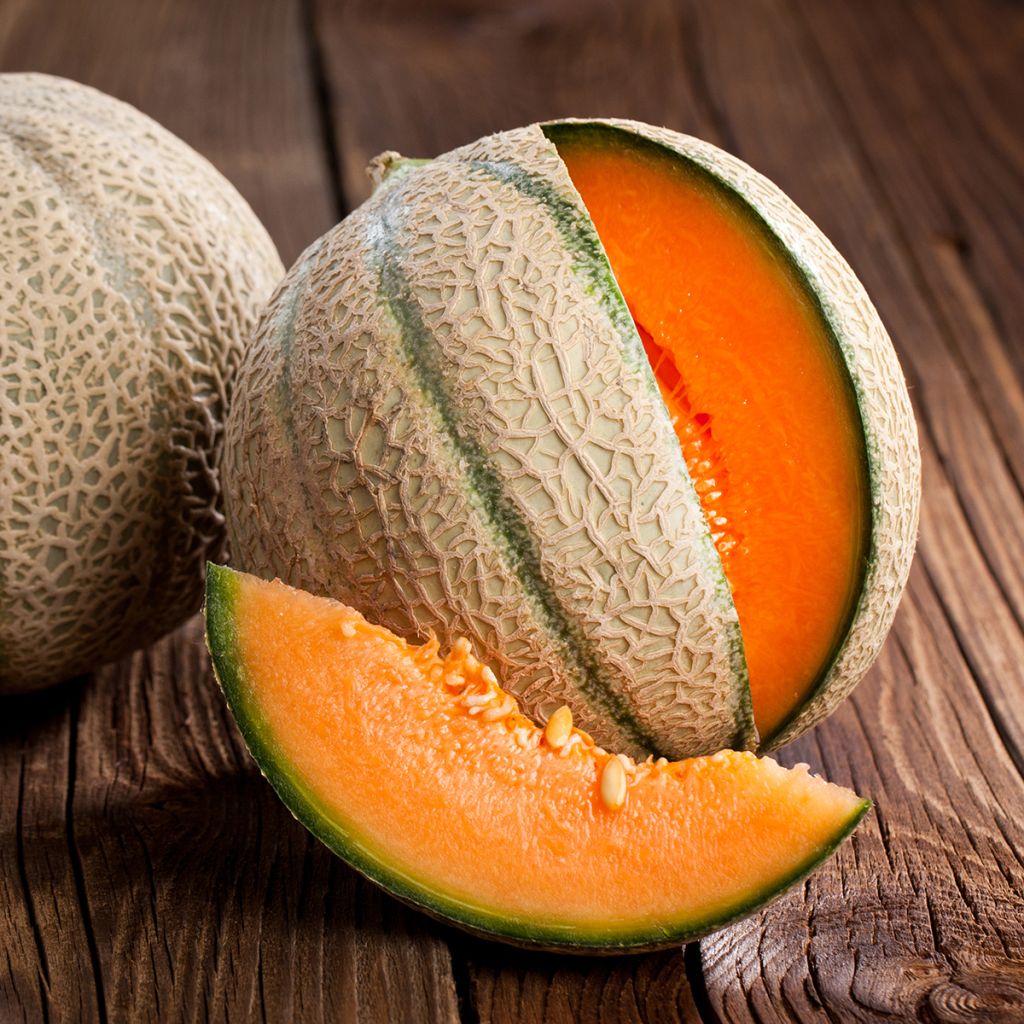Cantaluponmeloni - Cucumis melo