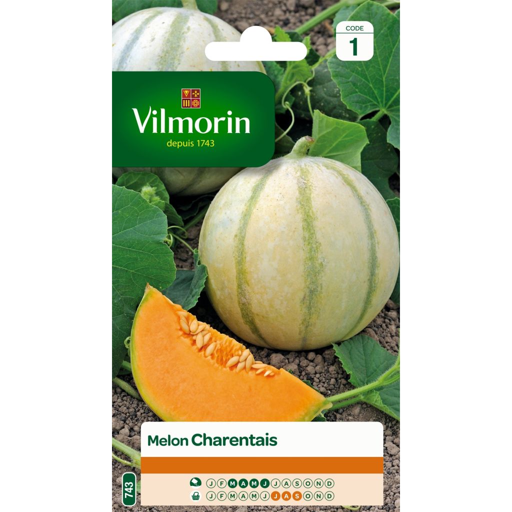 Cantaluponmeloni Charentais - Vilmorin