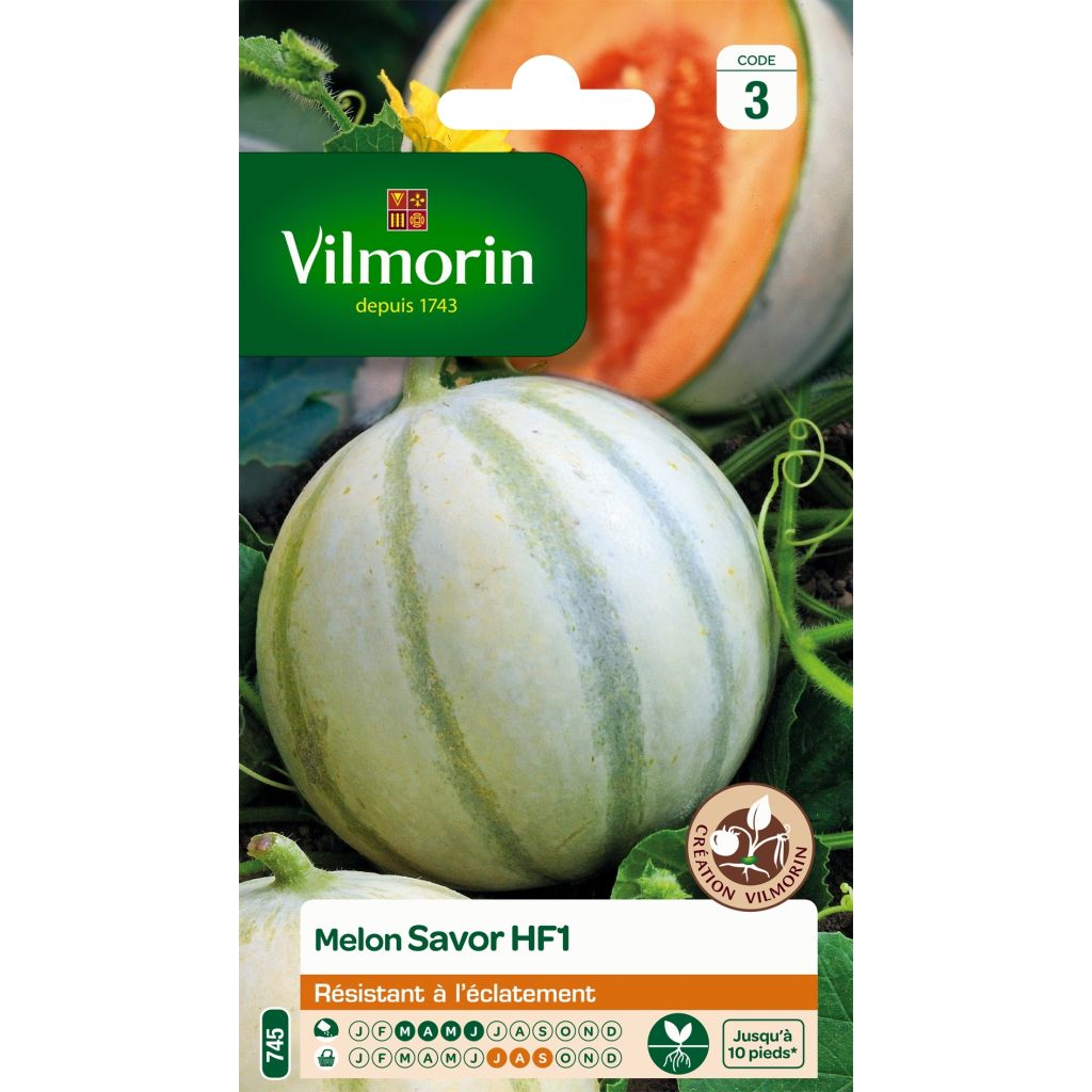 Cantaluponmeloni Savor F1 - Vilmorin