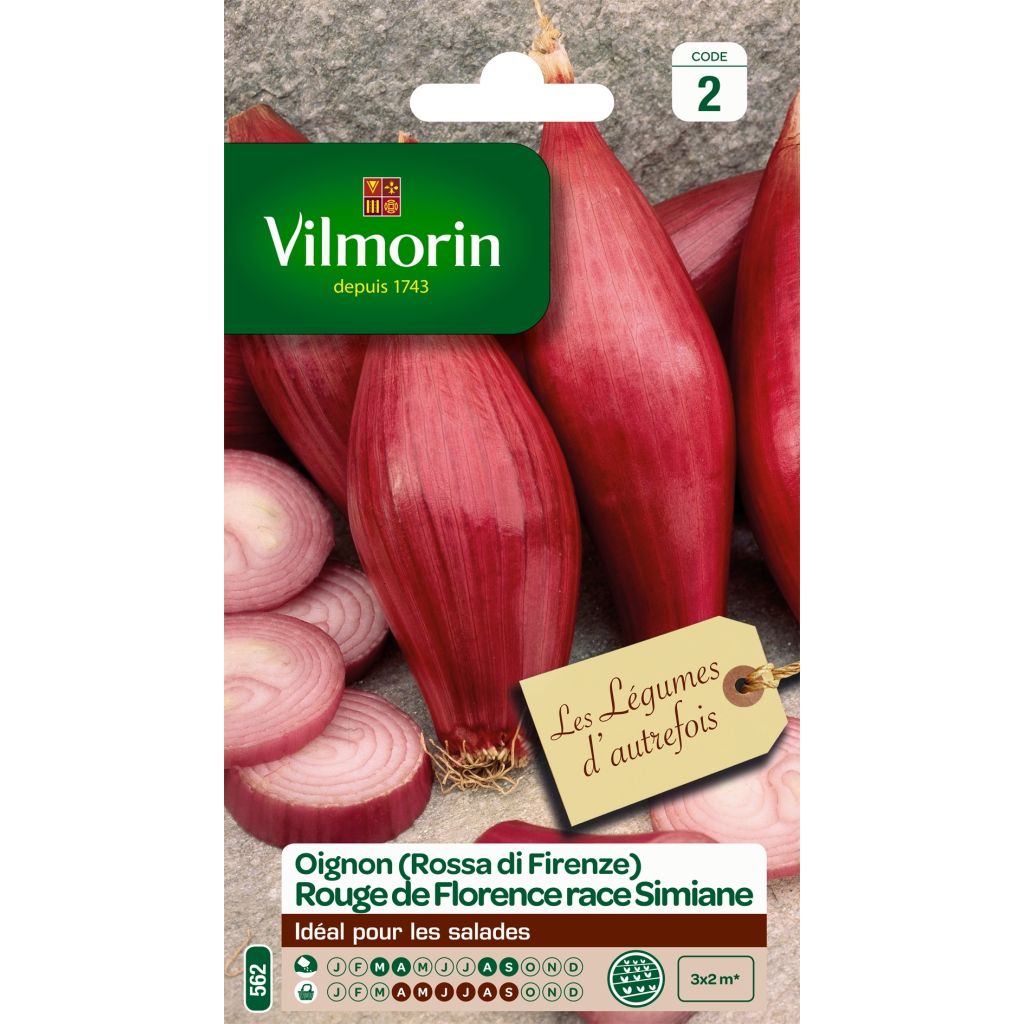 Punasipuli de Florence de Simiane - Vilmorin