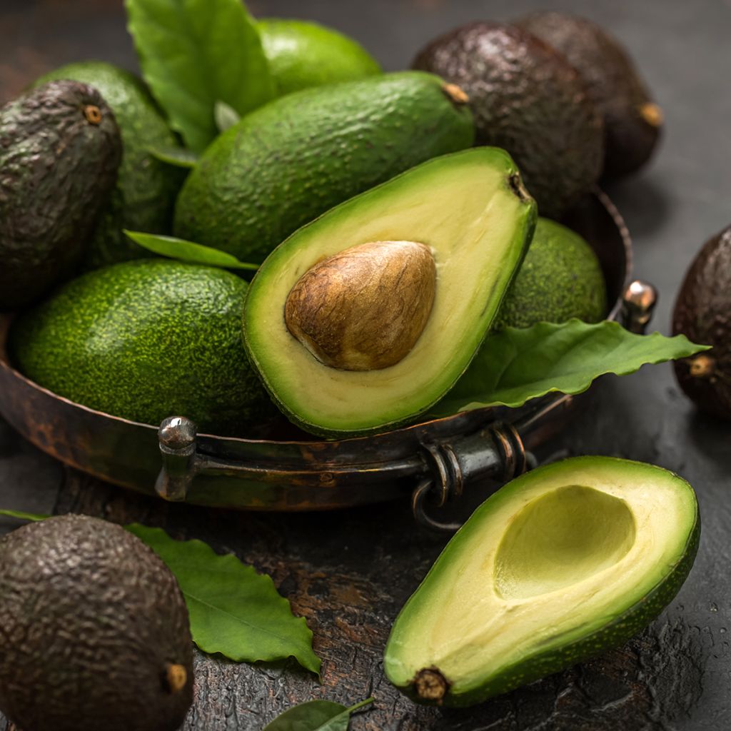 Avokado Hass